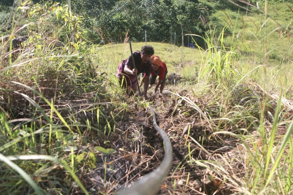 Ketangguhan para penggali pipa