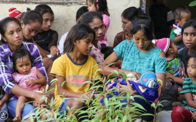 Program Malaria – Mempersiapkan dan Memobilisasi Sumber Daya