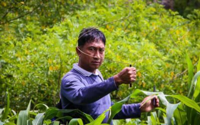 Air Tanah adalah Kunci Proyek Laindatang